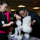 Image for article titled King’s realm: Behind the scenes at the Westminster Dog Show